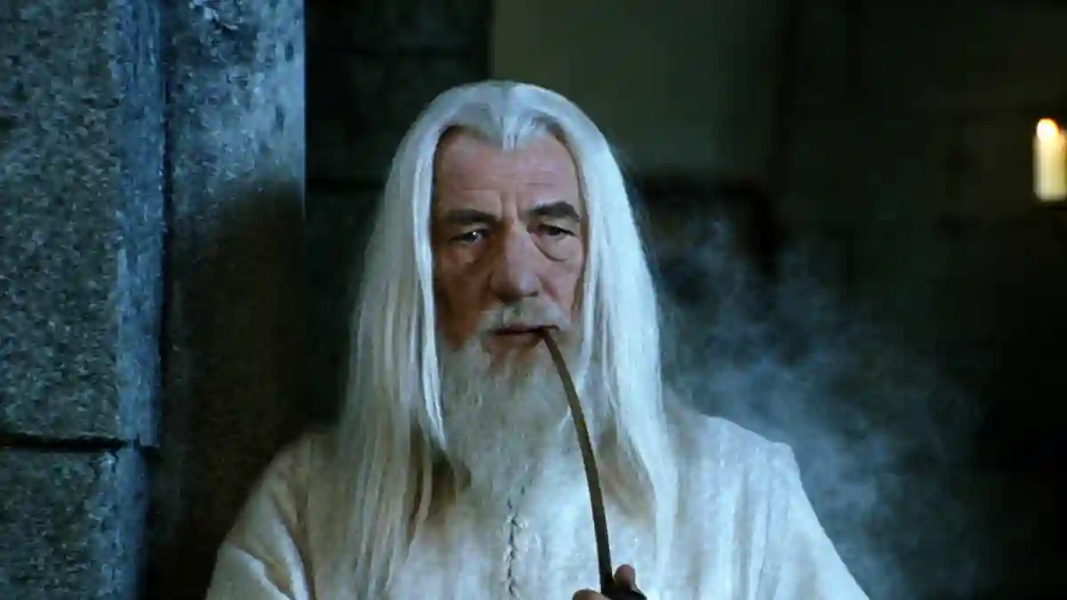 Ian McKellen played Gandalf in The Lord of the Rings