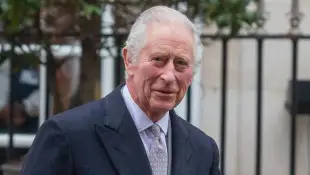 King Charles cancer art