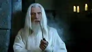 Ian McKellen played Gandalf in The Lord of the Rings