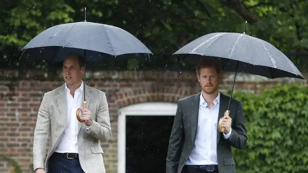 Prince William, Prince Harry