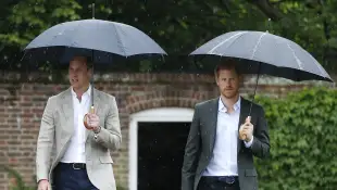 prince william prince harry