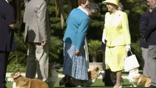 Queen Elizabeth II and corgis