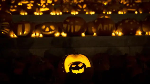 3000 glowing pumpkins in London on Halloween on October 31, 2014
