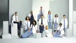 'Grey's Anatomy': The Actors Must Follow These Strict Rules