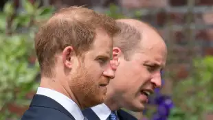Prince Harry and Prince William project