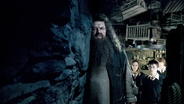Robbie Coltrane as Hagrid