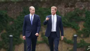 Prince Harry and Prince William