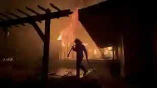 Los Angeles forest fires