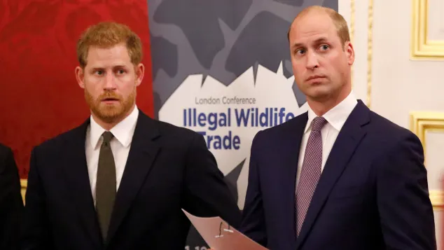 Prince Harry and Prince William