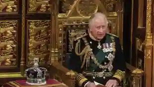 Prince Charles at the State Opening of Parliament