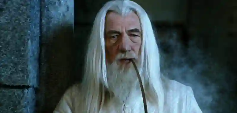 Ian McKellen played Gandalf in The Lord of the Rings