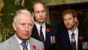 How Prince Charles Feels About William-Harry Relationship Feud sons royal family news Diana statue event 2021