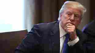 'Tiger King': Donald Trump Says He'll "Take A Look" At Pardoning Joe Exotic