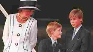 La princesa Diana, Harry y William