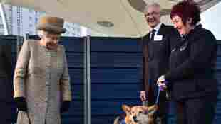 Royal Family Members' Pets