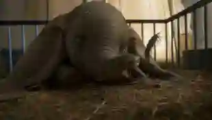 Disney's Dumbo Live-action Remake