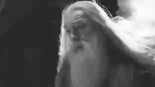 "Albus Dumbledore" in "Harry Potter".