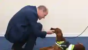 Prince William Visit North Ireland Pictures 2020 dog