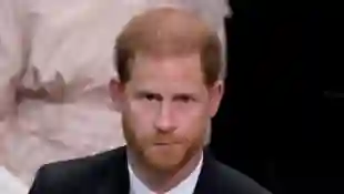Prince Harry Royals Royal
