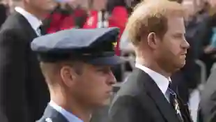 Prince William and Prince Harry argue