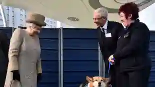 Queen Elizabeth And Her Corgis