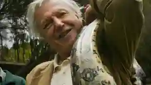 David Attenborough