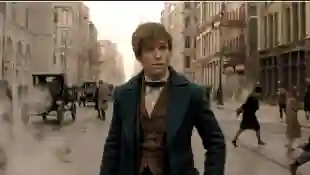 Eddie Redmayne in a scene from the movie 'Fantastic beasts and where to find them'