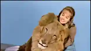 Cheryl Miller with Clarence, the Cross-Eyed Lion in the series 'Daktari'.