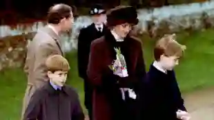 Prince Harry, Prince William and Princess Diana in 1994