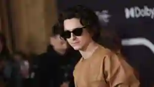 Timothée Chalamet