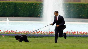 Bo and Barack Obama