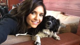 Nina Dobrev and her dog