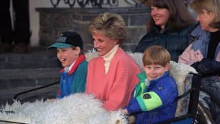 Prince William, Princess Diana, and Prince Harry