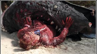 Tara Reid in 'Sharkndado 3: Oh, Hell No!"