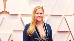 Amy Schumer Red Carpet Los Angeles