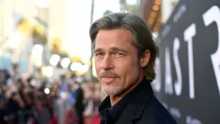 Brad Pitt allegations Angelina Jolie children plane incident investigation