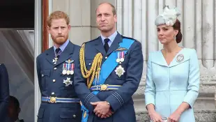 Duchess Catherine, Prince Harry and Prince William