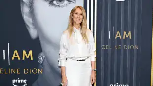 celine dion red carpet appearance today