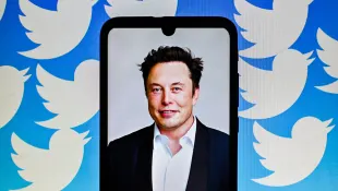 Elon Musk Twitter moments