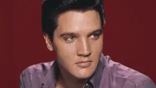 Elvis Presley Lyrics Quiz songs music trivia facts questions