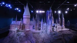 Hogwarts, Harry Potter