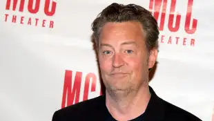 Matthew Perry Engaged To Girlfriend Molly Hurwitz