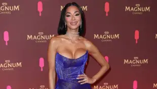 Nicole Scherzinger Pussycat Dolls