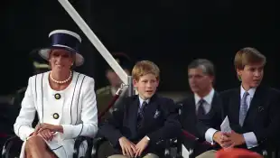 Princess Diana, Prince Harry and Prince William