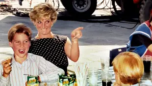 Princess Diana rare photos with her sons William and Harry photos Lady Diana royal family