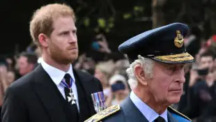 Prince Harry and King Charles