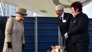 Queen Elizabeth And Her Corgis