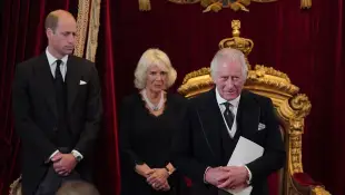 Prince William, Queen Camilla and King Charles respond racism incident Palace event Lady Susan Hussey Ngozi Fulani Twitter