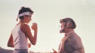 From 'The Karate Kid' Trilogy to 'Cobra Kai'