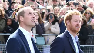 Prince William, Prince Harry, "Heads Together"